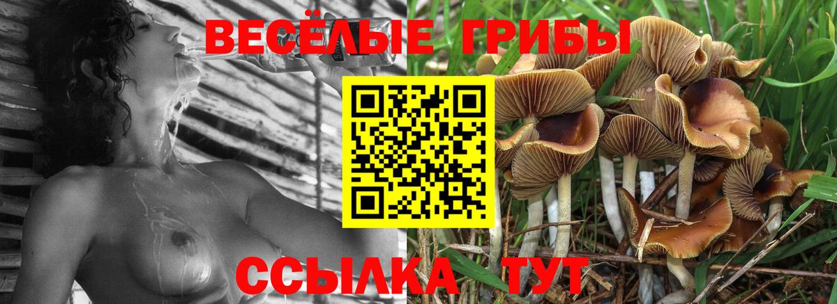 Галлюциногенные грибы ЛСД  Вход с VPN  Ржев 